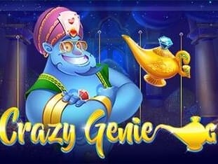 Crazy Genie game thumbnail